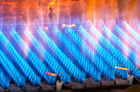 Bofarnel gas fired boilers